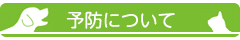 main_title