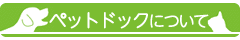 main_title