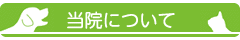 main_title