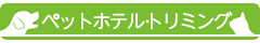 main_title