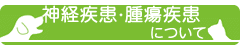 main_title